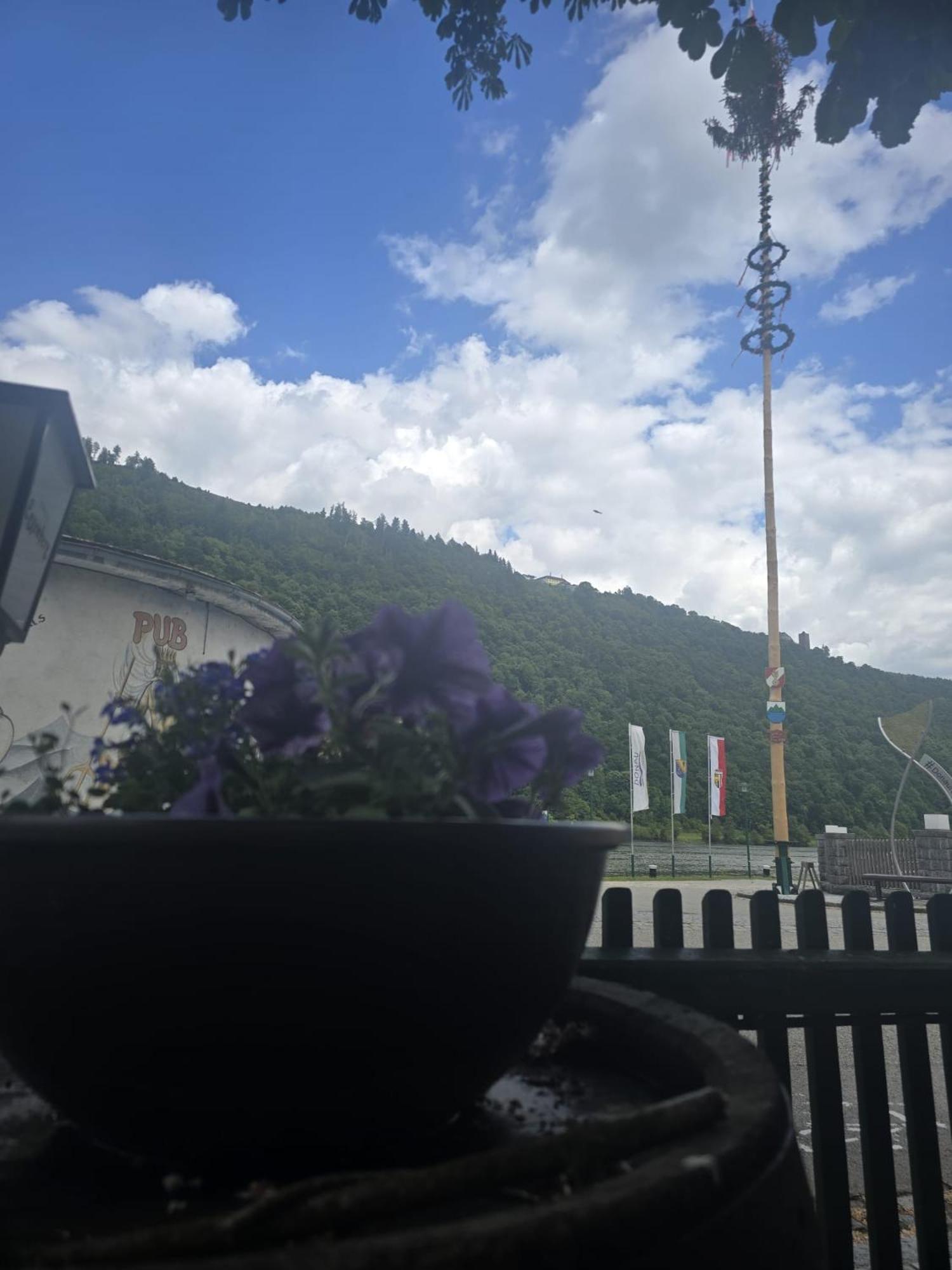 Gasthof Zum Schiffmeister وسنفر المظهر الخارجي الصورة